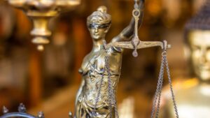 The Future of Meenakshi Natarajan: Examining Criminal Record Disclosure in Elections