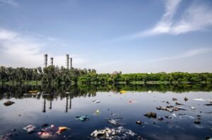 CJI Surya Kant Advocates for Legal Recognition of Climate-Displaced Persons